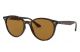 Ray Ban 0Rb43057108353 Highstreet Havana Injected U Nb