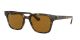 Ray Ban 0Rb43237103351 Highstreet Havana Injected U Nb